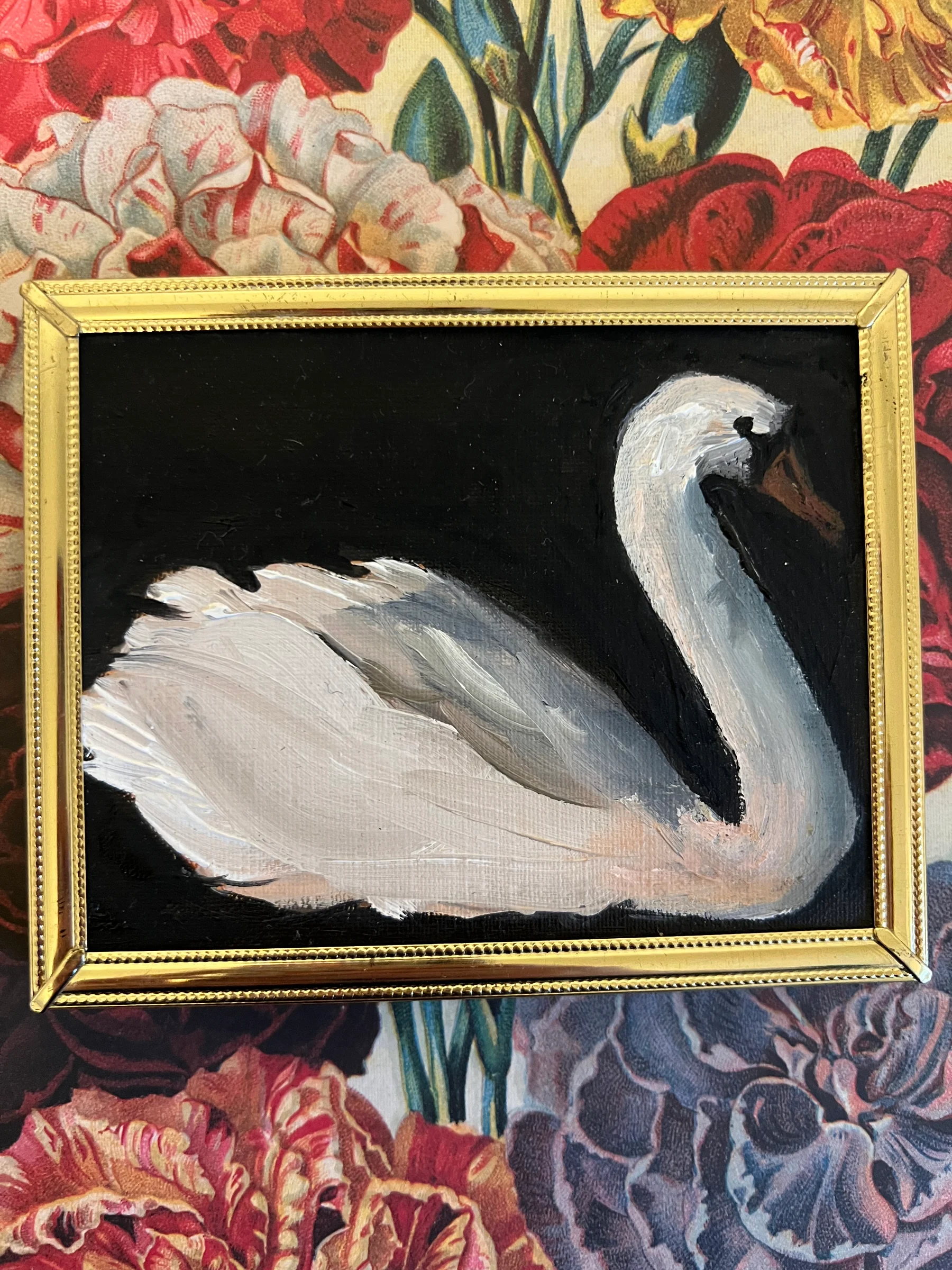 A Little Swan