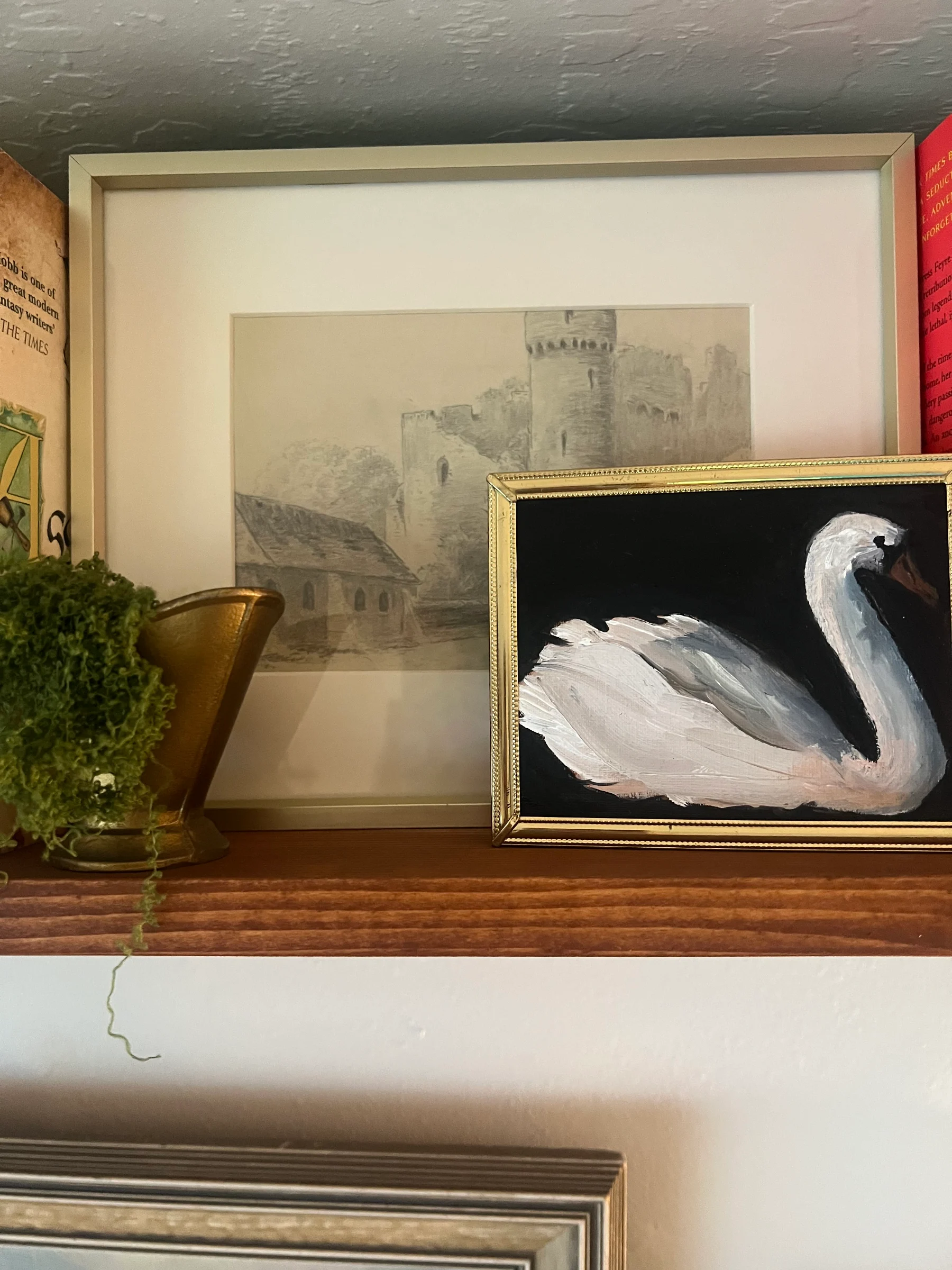 A Little Swan